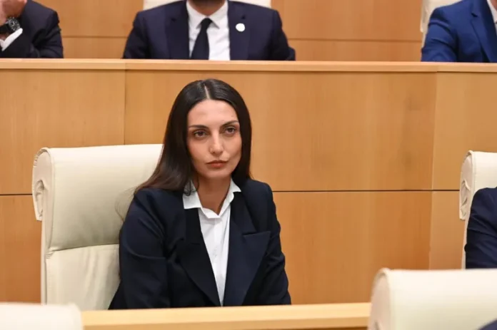 არ ვიქნებით არსად, სადაც იქნება „ნაცმოძრაობა“ – ვიკა ფილფანი 28 ნოემბრის აქციაზე