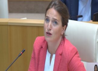 თუ ვინმეს განცდა აქვს, რომ რუსი ხელისუფალი ჰყავს, მისგან ხელფასი არ უნდა აიღოს – მარიამ ლაშხი