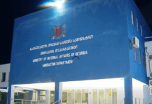 მიგრაციის დეპარტამენტმა ქვეყნიდან კიდევ 121 უცხოელი გააძევა