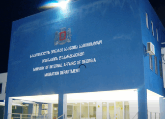 მიგრაციის დეპარტამენტმა ქვეყნიდან კიდევ 121 უცხოელი გააძევა