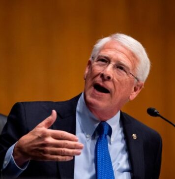 მამაცი ქართველი ხალხი მთელი ერთი წელი აპროტესტებდა გაყალბებულ არჩევნებს – სენატორი უიკერი