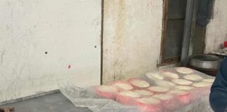 კახეთში ყველის არარეგისტრირებული საწარმო გამოავლინეს – სეს