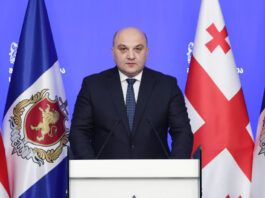 თუ შეკრება-მანიფესტაციის დროს კანონის მოთხოვნები დაირღვევა, ვიმოქმედებთ შესაბამისად – დარახველიძე