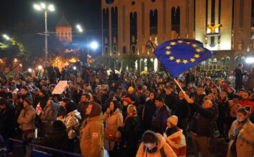 2025 წელი საქართველოში შეზღუდული თავისუფლებების წელია – საია