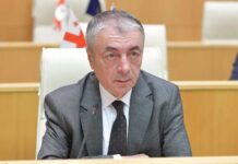 ვინც გაურია, ამტკიცებს, რომ კანონის სრული დაცვით გააკეთა ეს – შარმანაშვილი BBC-ის გამოძიებაზე