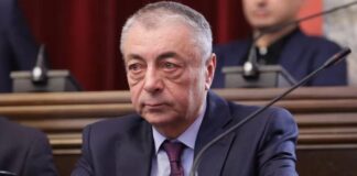 300 კაცი არ არის უფლებამოსილი თავისი დღის წესრიგით ატრიალოს ქვეყანა და შელახოს სხვათა უფლებები – შარმანაშვილი