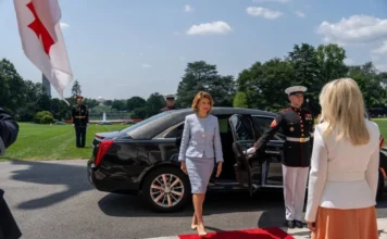 ელჩ ტალიაშვილის ქმარი სანქცირებულ რუს ბიზნესმენებს იურიდიულ დახმარებას უწევს – OC Media