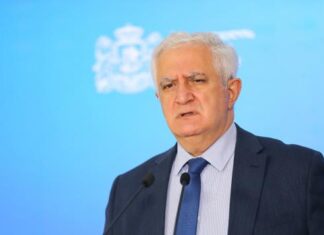 სასურველია, ცნობილი იყოს, რა ქიმიური ნივთიერება იყო გამოყენებული! არ შეიძლება მოსახლეობის მიმართ ასეთი ძალის გამოყენება – ამირან გამყრელიძე