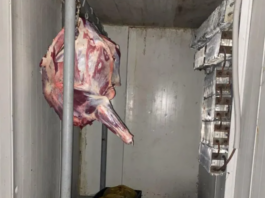 თბილისში, ზესტაფონსა და ვანში არალეგალური სასაკლაოები გამოვავლინეთ – სურსათის ეროვნული სააგენტო