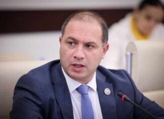 მიქანაძე აცხადებს, რომ მე-11 კლასში მხოლოდ იმ საგნების სწავლა შეეძლებათ, რაც ეროვნულებზე უნდა ჩააბარონ