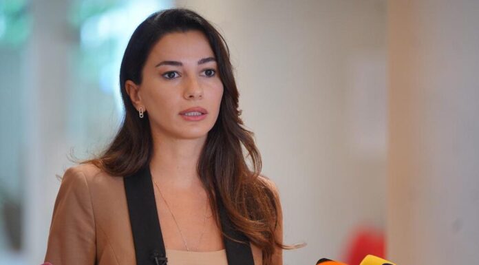 დადასტურდა 8-9 ფაქტორი, რომლებიც მოქმედებენ ფასების ზრდაზე – ქვრივიშვილი