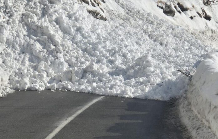 619225973_1300914482066784_5530814407024821047_n