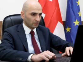 ჯანდაცვის მინისტრის ყოფილი მოადგილე ილია ღუდუშაური დააკავეს