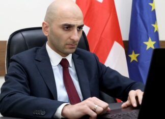 ჯანდაცვის მინისტრის ყოფილი მოადგილე ილია ღუდუშაური დააკავეს