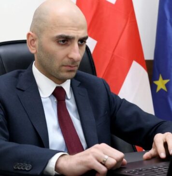 ჯანდაცვის მინისტრის ყოფილი მოადგილე ილია ღუდუშაური დააკავეს