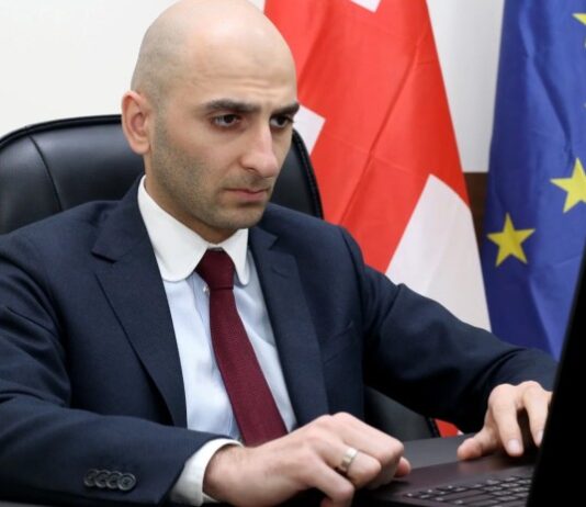 დანაშაული აღიარა – პროკურატურა ღუდუშაურისთვის აღკვეთის ღონისძიებად საპატიმრო გირაოს ითხოვს