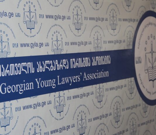 საია-ს ინფორმაციით, სტრასბურგის სასამართლომ 2024 წლის საპარლამენტო არჩევნებთან დაკავშირებით საჩივრის განხილვა დაიწყო