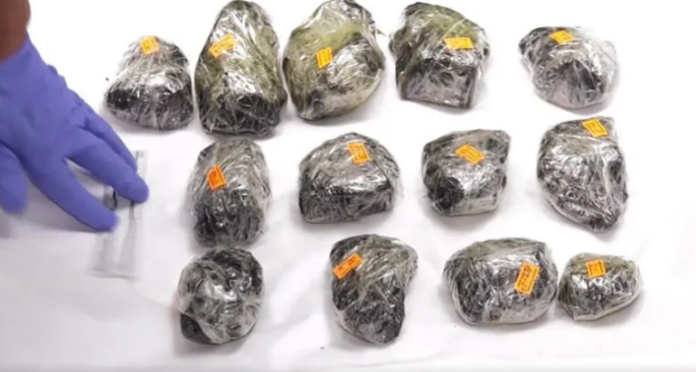 173283737373733333333333333