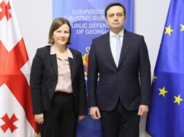 იოსელიანი „მოსკოვის მექანიზმის” ფარგლებში დანიშნულ მომხსენებელს შეხვდა