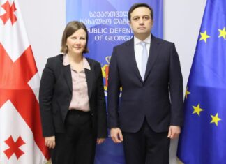 იოსელიანი „მოსკოვის მექანიზმის” ფარგლებში დანიშნულ მომხსენებელს შეხვდა