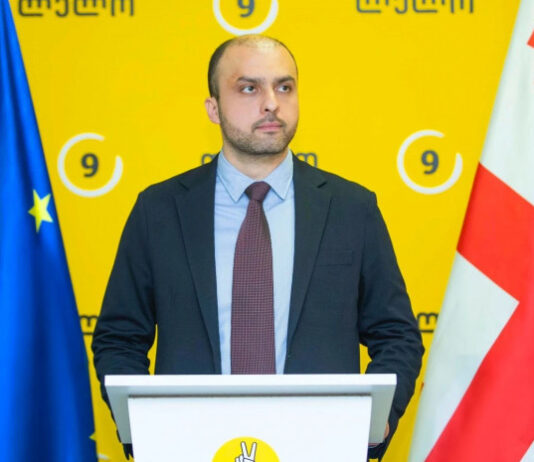 გრანტებთან დაკავშირებული ცვლილებები თავისი შინაარსით უფრო მძიმე შედეგების მომტანია, ვიდრე „რუსული კანონი“ – სიორიძე