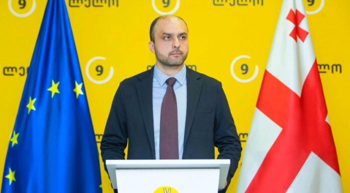 გრანტებთან დაკავშირებული ცვლილებები თავისი შინაარსით უფრო მძიმე შედეგების მომტანია, ვიდრე „რუსული კანონი“ – სიორიძე