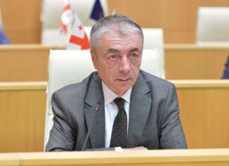 ჩემთვის ფიშერი, რადიკალური ორგანიზაციის წევრია – შარმანაშვილი