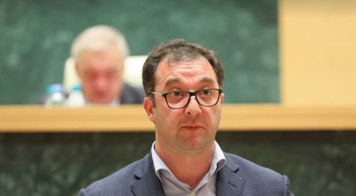 “სხვა მიმართულების განვითარების სივრცე ჩნდება” – სონღულაშვილი პლასტმასის ბოთლების აკრძალვაზე