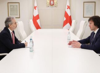შეშფოთება გამოხატა განვითარებულ მოვლენებთან დაკავშირებით – კობახიძე ისრაელის ელჩს შეხვდა