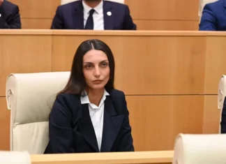 ვერ დაასახელებთ ვერაფერს, რაც გაიაფდა, გარდა ნარკოტიკისა – ვიკა ფილფანი “ოცნებას”