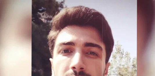 ავალიანის დედის ცნობით, საქმეზე კიდევ ერთი პირი დააკავეს