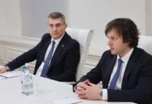 კობახიძემ მდინარაძეს სუს-ის პოლკოვნიკის სპეციალური წოდება ვადის ამოწურვამდე მიანიჭა