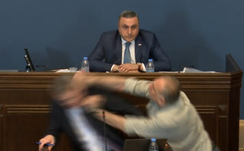 მდინარაძეს გადაეცით, ვნანობ უფრ კარგად რომ არ შემოვარტყი და კობახიძე ზედ არ დავაყოლე! – ელისაშვილი