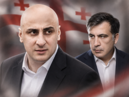 “სააკაშვილი ტყუილის და უტიფრობის გარეშე აღარ არსებობს“–ნიკა მელიას მწვავე წერილი ციხიდან