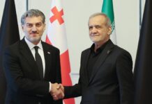 “გამოხატა სამძიმარი ტრაგიკული მოვლენების გამო და პატივი მიაგო დაღუპულთა ხსოვნას” – ყაველაშვილი ფეზეშქიანს შეხვდა
