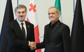“გამოხატა სამძიმარი ტრაგიკული მოვლენების გამო და პატივი მიაგო დაღუპულთა ხსოვნას” – ყაველაშვილი ფეზეშქიანს შეხვდა