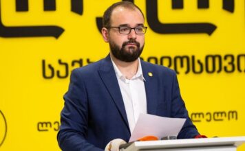 უკრაინა და მოლდოვა წინ მიდიან, საქართველო არის სრულ ჩიხში და იზოლაციაში – გეგელია
