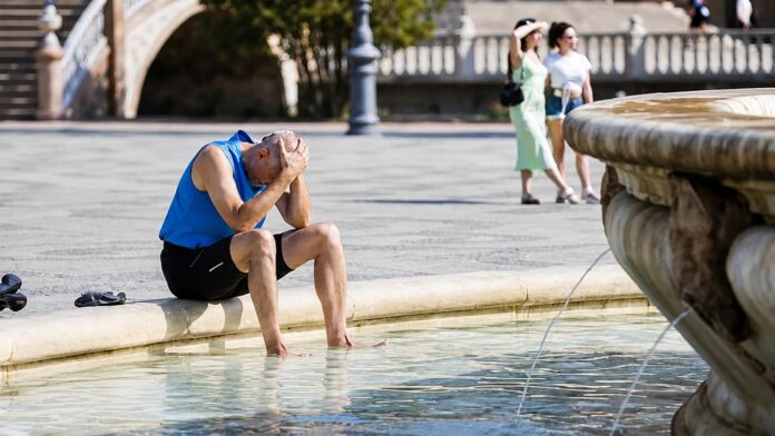 resting-by-the-fountain-wordpress