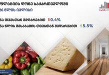 სტატისტიკის ეროვნული სამსახურის უახლესი მონაცემებით, ივლისში ქვეყანაში წლიურმა ინფლაციამ 5.5% შეადგინა.