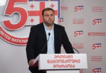 დაისაჯონ პასუხისმგებელი პირები, მათ შორის კალაძე – ენმ ბაღებზე