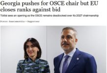 საქართველოს ეუთოს თავმჯდომარეობა სურს, თუმცა ევროკავშირი წინააღმდეგია: Rapporteur