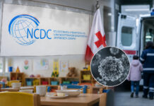 NCDC-დადასტურებულია, რომ თბილისში უკანასკნელ პერიოდში გახშირებული გასტროენტერიტით მიმდინარე შემთხვევები გამოწვეულია ნოროვირუსით