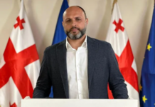 ავტოკრატიულ რეჟიმთან არც საპროცესო შეთანხმებას და არც შეწყალების თხოვნას არათუ არ ვაპირებ, არც კი განვიხილავ! – ნადირაძე
