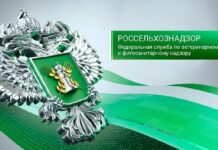 როსსელხოზნადზორის ცნობით, მათი სპეციალისტები საქართველოში სურსათის სააგენტომ მიიწვია