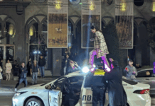 ერთ წლიანი პატიმრობის შემდეგ, თამარ ლორთქიფანიძე თავისუფალია