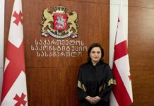ბევრი ვიშრომე, ბევრი ვიბრძოლე და არ მინდა მოსამართლის უფლებამოსილებასთან ერთად იურისტობაც დასრულდეს: მანანა კობახიძე