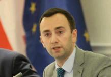 ბრიუსელის პოლიტიკამ EU-ს სტრატეგიული ინტერესები, საქართველოსთან მიმართ დააზიანა – მახაშვილი