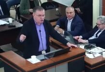 ოპოზიციური პარტიების აკრძალვის პროცესი: „ოცნებისა“ და ენმ-ის არგუმენტები საკონსტიტუციოში